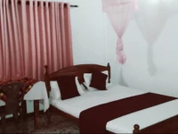 Orchid Tourist Guest