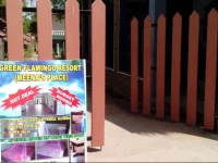 Green Flamingo Resort