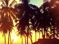 Upali Beach Surf Resort