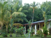 Mangrove River Villa