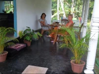 Jungle cottage Bentota