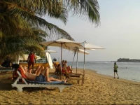 Coconut Bar Sea Lodge Hotel