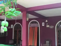 Little Dream Dambulla