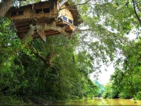 Kumbuk Tree House