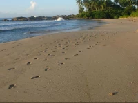 Duwawaththa Beach House