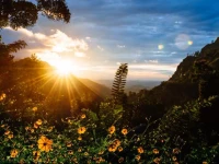 Blue Ribbon Homestay Ella