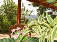 Cinnamon Home Stay