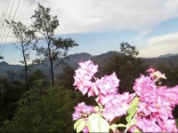 Ella Mountain Palace