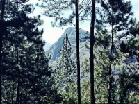 Manaram Guest Inn Ella