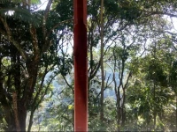 Nature Paradise Guest House