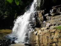 River Splendour Home Stay