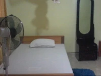 Starring Ella Homestay