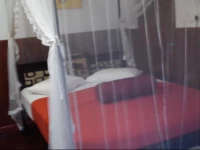 The Green Residence 2*