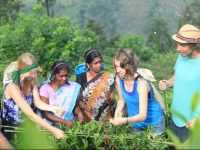 The Secret Ella Bungalow