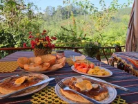 Tunnel Gap Resort Ella