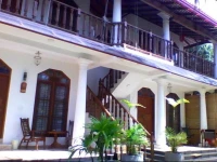 Villa Jungle & Wiener