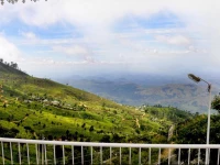 The Mist Holiday Bungalow 1*