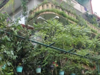 Kandy Backpackers Homestay Eagles