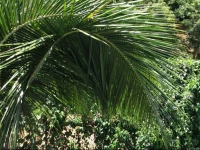 Kandy Lake Round Hostle