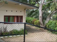 Mango Grove Cottage Kandy