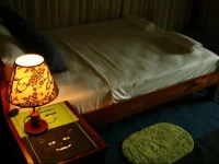 Leopard Yala Luxury Camping