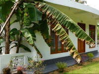 Birds Voice Hikkaduwa