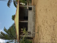 Beach Bungalows & Beach Camping