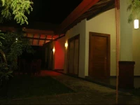 The Forest Kohombagahapelessa