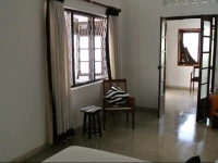 27 Spathodea- Oasis In The City