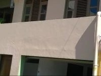 Colombo Downtown Monkey