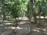 Riverside Camping Udawalawa