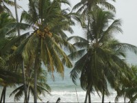 Blue Ocean Hotel by Wanyo