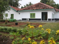 Green Banana Mirissa