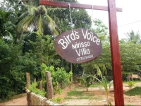 Birds Voice Villa Mirissa