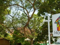 First Mirissa Hostel