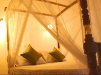 Sooriya Sewana Guest House