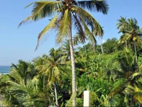 Sounds of Nature mini hotel