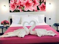 Villa Alice and Friends