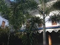 Friends Guesthouse Negombo