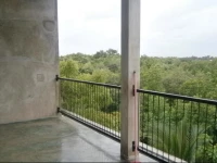 Mangrove Lagoon View