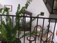 Eco Friendly Beautiful Suite