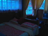 Camellia Holiday inn