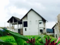 Nuwara Eliya The Fern Cove