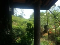 The Log Nuwara Eliya