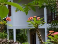 Hillside Relax Villa