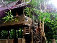 Jiwes Hide Out Forest region