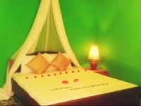 Green Bamboo House Sigiriya