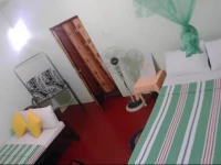 Green Grass Homestay Sigiriya