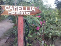 Sigiriya Camellia Home Stay