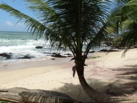 Around Sri Lanka Guesthouse Tangalle